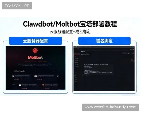 开云网站域名续费与管理技巧，帮助你轻松应对域名维护与更新
