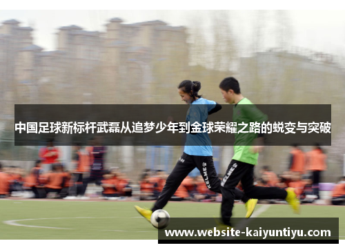 中国足球新标杆武磊从追梦少年到金球荣耀之路的蜕变与突破