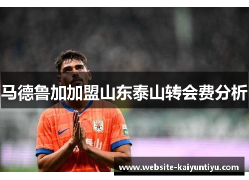 马德鲁加加盟山东泰山转会费分析