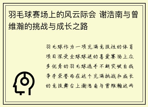 羽毛球赛场上的风云际会 谢浩南与曾维瀚的挑战与成长之路