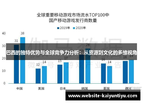 巴西的独特优势与全球竞争力分析：从资源到文化的多维视角