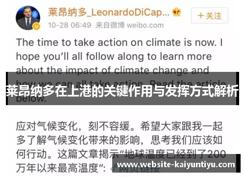 莱昂纳多在上港的关键作用与发挥方式解析